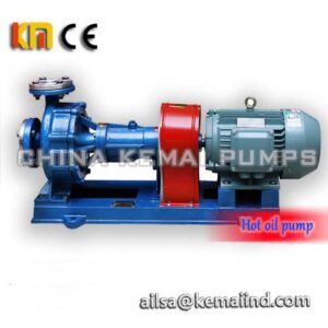 RY hot oil pumps in china