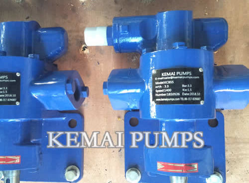 1 Inch Gear Oil Pump