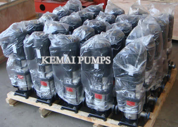 CDLF vertical multistage centrifugal pumps