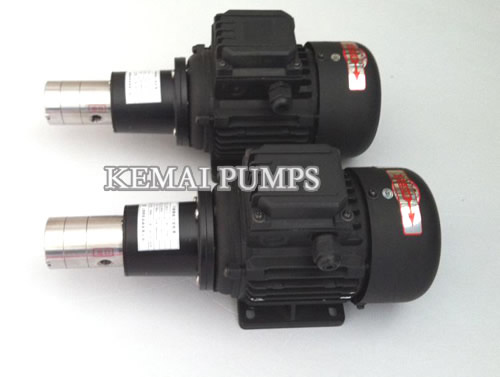 GM Small Gear Pump