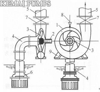 Single stage single suction centrifugal pump structure