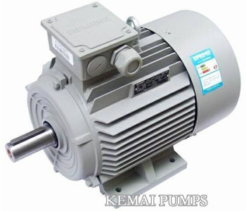 Centrifugal Pump Motor