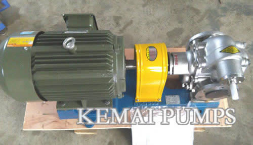 K Series Stainless Steel Gear Pump