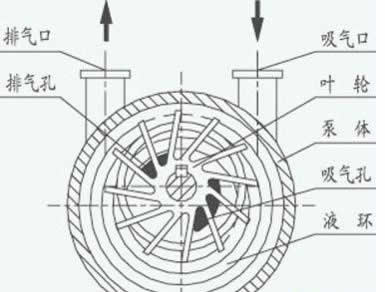 Liquid Ring Vacuum Pump Structural