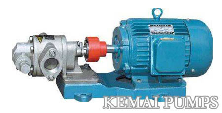 Stainless Steel Gear Pump