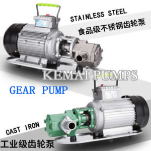 WCB Gear Pump