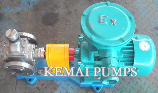 Y Series SS Gear Pump